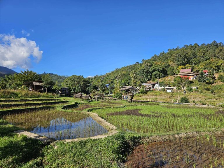 Guide to Pai: Is Pai worth the visit?